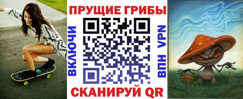 купить наркотик  omg   Псилоцибиновые грибы Psilocybine cubensis  Дмитриев 