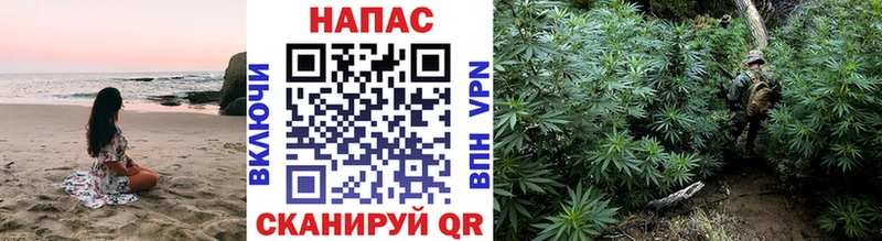 Конопля индика  магазин  наркотиков  блэк спрут ССЫЛКА  Дмитриев 